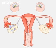 卵巢囊肿术后注意事项