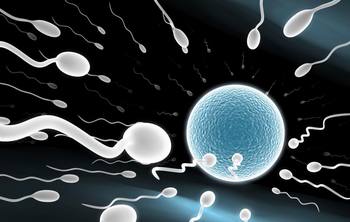 如何提高精子质量